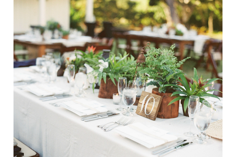 Chic on a Dime: Ace Your Wedding Decor Without Breaking the Bank!